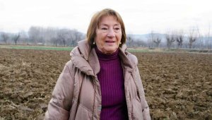 75 yıl sonra dede topraklarına döndü, miras kalan arazilere ekim yaptı