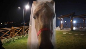 Bu düğünde gelin ve damat görenlerin ağızlarını açık bırakıyor