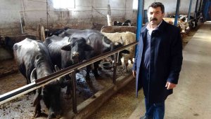 Destekler yüzde 100 arttı, ürünler ülke ekonomisine kazandırılacak