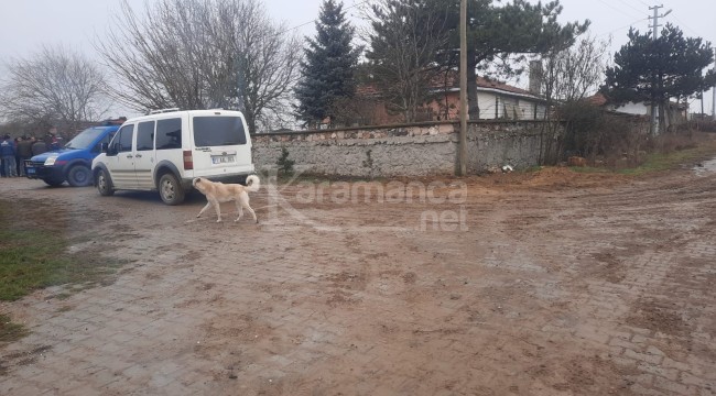 Fadime Aslan ile Erol Aslan'ı öldüren Mehmet Aslan tutuklandı