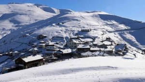 İnsanlar et yemek için yollarını değiştiriyor