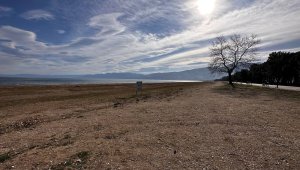 Kuraklığın en acı görüntüsü