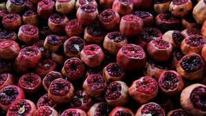 Şifa deposu Zivzik'in hem fiyatı hem de rağbeti arttı