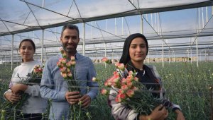 Tanesi 2 ile 5 lira arasında satılıyor, kimse yetiştirmeye cesaret edemiyor