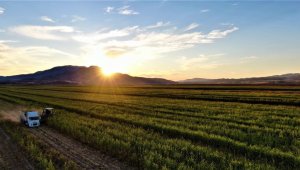 Tarım Bakanı duyurdu, yüzde 75'i bakanlık tarafından hibe olarak verilecek