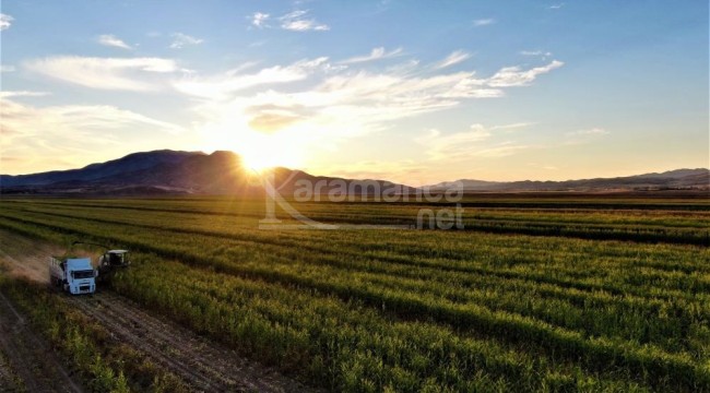 Tarım Bakanı duyurdu, yüzde 75'i bakanlık tarafından hibe olarak verilecek