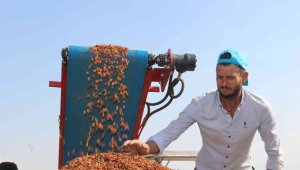 Televizyon kanalındaki 'kuru üzümde mazot hilesi' iddialarına tepki