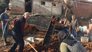 Yılın son hasadı yapıldı, kilosu 50 lira civarında satıldı