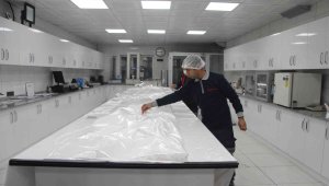 Yosundan ambalaj ürettiler