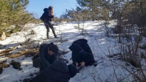 Bu çiçeği koparmanın cezasına zam geldi