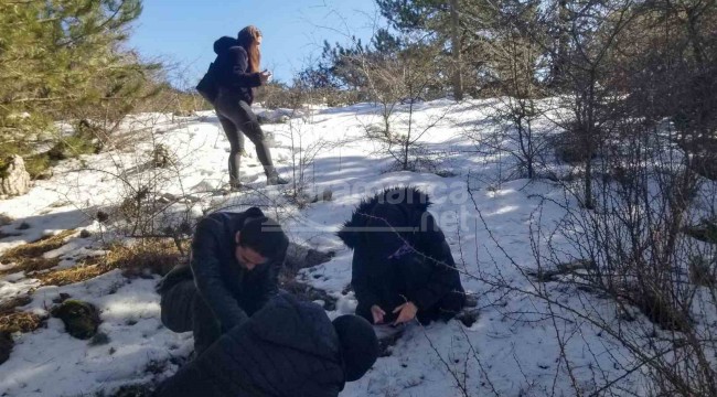 Bu çiçeği koparmanın cezasına zam geldi