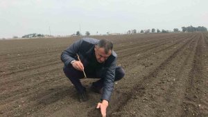 Depremzede çiftçiler üretmeye devam ediyor