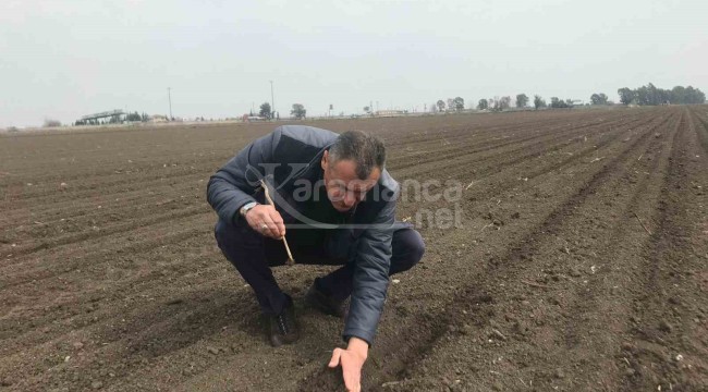 Depremzede çiftçiler üretmeye devam ediyor