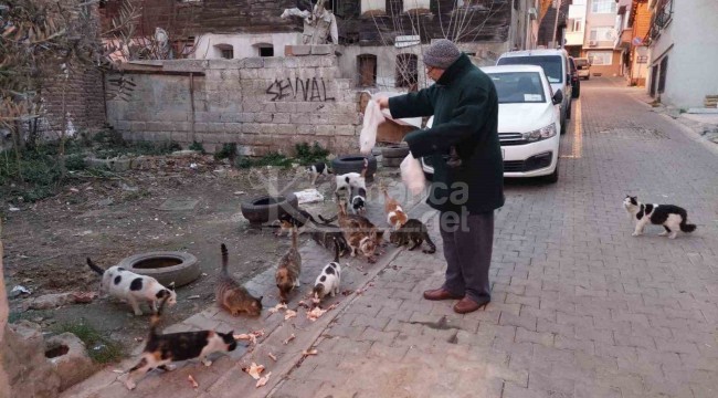 Kedileri beslemek için emekli maaşının üstüne birde veresiye alıyor