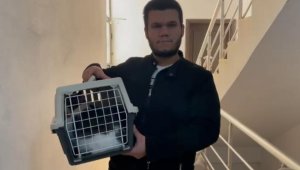 10 bin TL ödülle aradığı kedisini, rüyasına girdiği yerde buldu