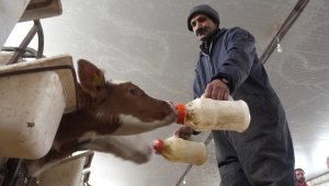 Bu şehir birkaç ay içinde 1 Milyar Lira gelir elde edecek