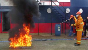 Bu alandaki ihracatı azaltabilir, midye kabuğundan ürettiler