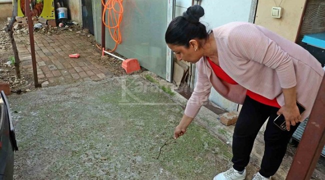 Evinin bahçesindeki tırtılları süpürünce hastanelik oldu