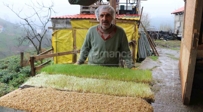 Evinin mutfağında 45 gün deneyip 6 metrekarelik alanda üretime geçti