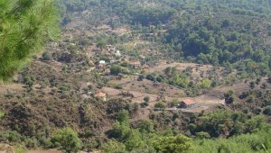 Kanunda düzenleme yapıldı, orman köylüsüne yüzde 70 indirim