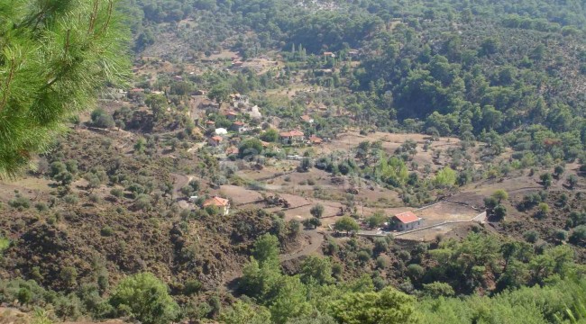 Kanunda düzenleme yapıldı, orman köylüsüne yüzde 70 indirim