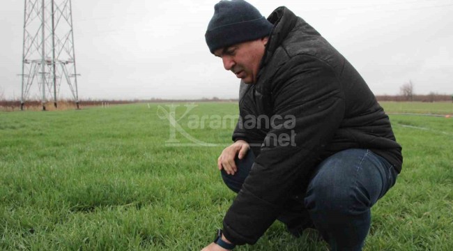 Karaman'da yağmur yağışı üreticiyi sevindirdi