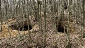 Kısa yoldan zengin olma hayaliyle köyü köstebek yuvasına çevirdiler