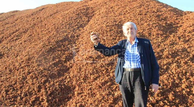 Kömür fiyatları artınca kıymete bindi, bunu yakmaya başladılar