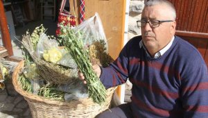 Yamaçların bereketi, 35 çeşit bitkisini toplayıp sattığı dağın tiryakisi