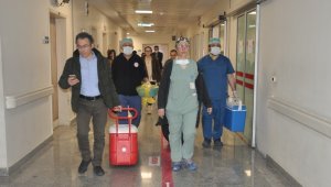22 yaşındaki Arife'nin organları 4 hastaya umut oldu