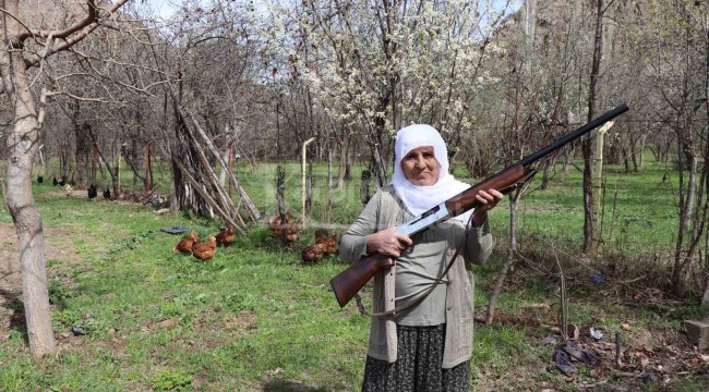 68 yaşındaki Gülistan teyze, omzunda tüfekle tavuk nöbeti tutuyor