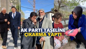 AK Parti Taşeli'ne çıkarma yaptı