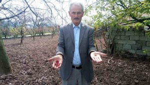 Zirai donun vurduğu ilçede meyveye ulaşmak hayal oldu