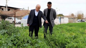 Ata yadigarı karakılçık tohumunun üretiminden büyük verim alındı