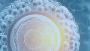 Bağırsak Enfeksiyonu (Gastroenterit) Nedir?