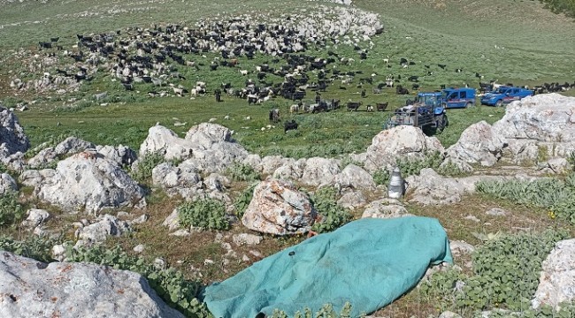 Karaman'da bir kadın kayınbiraderini bıçaklayarak öldürdü