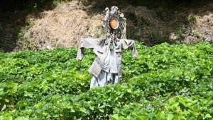 Köydeki tek kadın girişimciye devletten yüzde yüz hibe