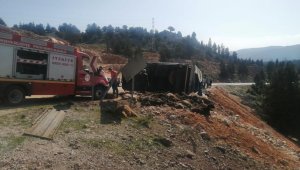 Tır devrildi, 60 hayvan telef oldu