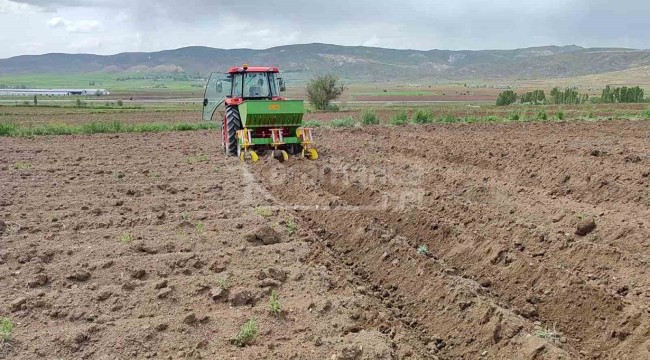 Türkiye'nin önemli üretim merkezi, ekimler devam ediyor