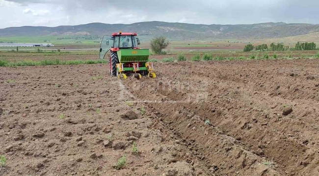 Türkiye'nin önemli üretim merkezi, ekimler devam ediyor