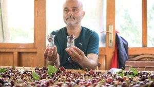 Çay bardağına sığmıyor, manavda kilosu 200 liradan satılıyor