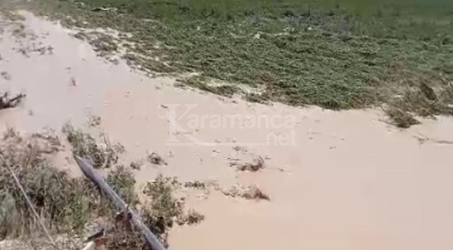 Ereğli'de dolu ve sel çiftçiyi vurdu