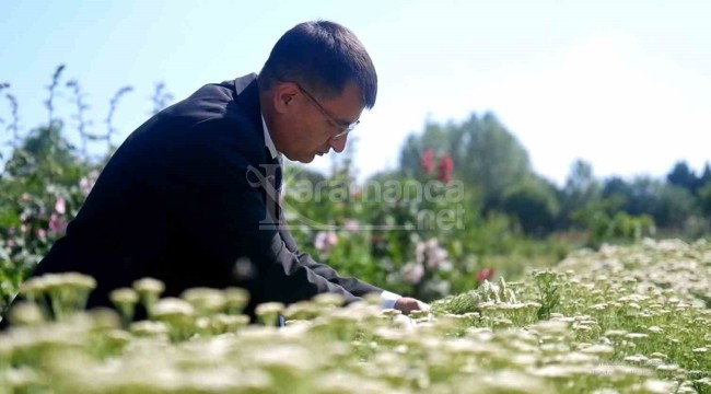 Farklı illerden toplanıp bu bahçeye ekildi, ihtiyacı bu şehir karşılayacak