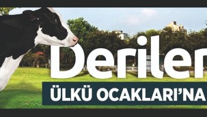 Kurban derileri Ülkü Ocakları'na