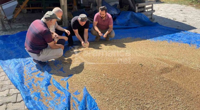 12 bin yıldır genetiği değişmeyen ürün mercek altına alındı