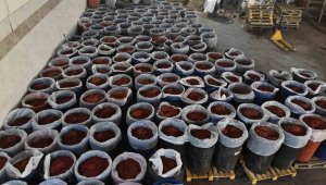 ABD, Almanya başta olmak üzere 20 ülkeye ihraç ediliyor