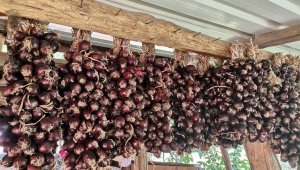 Adeta kapışılıyor, sökümü başlayan ürün kısa sürede tükeniyor