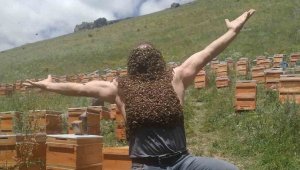 Çılgın arıcıdan 'yok artık' dedirten görüntüler