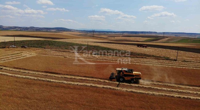 Dönümde 200 kilo fazladan hasat, bölgede çiftçi umduğundan fazlasını aldı