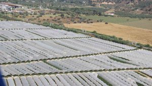 Kentte üretim alanları artıyor, 46 milyon dolarlık ihracat yapıldı